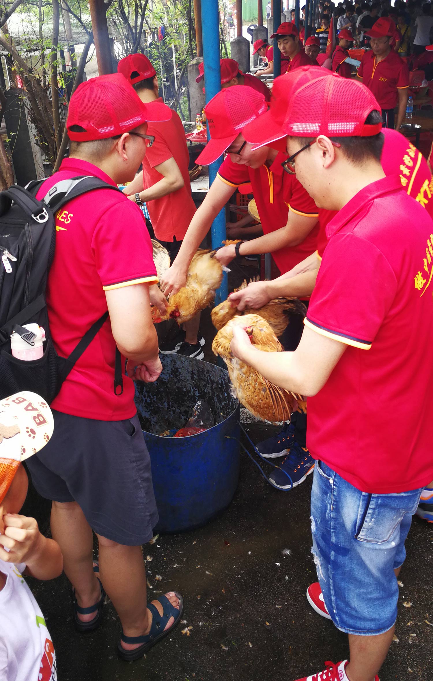 深科特 深科特